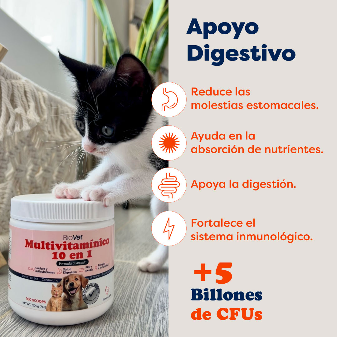 Glucosamina para fortalecer articulaciones y mejorar la movilidad de perros y gatos