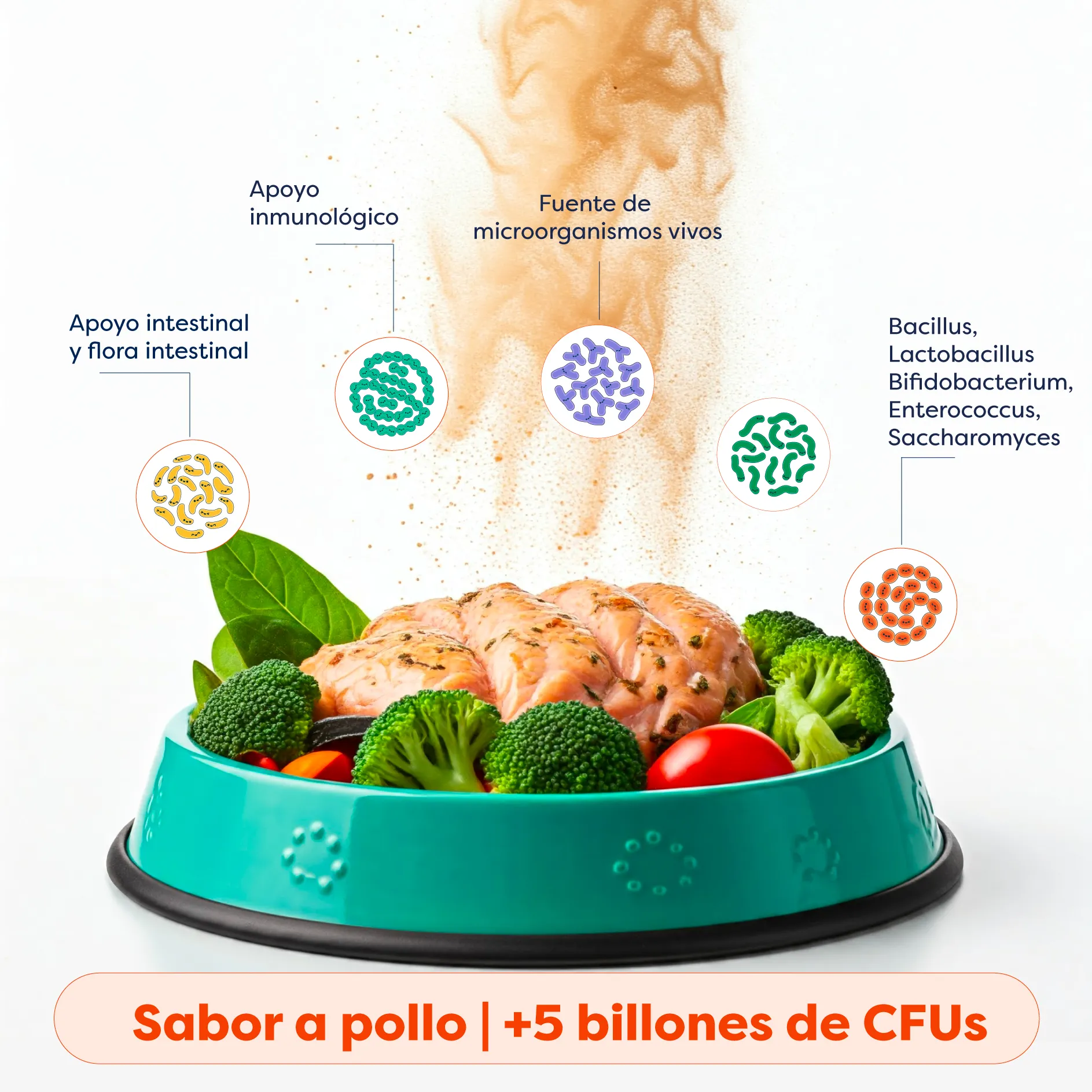 Pack x2 Multivitamínico con probióticos – 20% OFF - Imagen 3